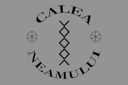 Calea Neamului1