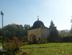 Curtea Domnească, Argeș