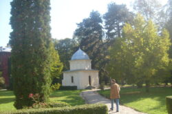 Curtea Domnească