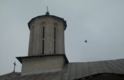 Biserica din Șișești - 2011