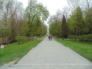 Poarta sărurului, Tg Jiu