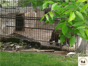 Craiova - Zoo