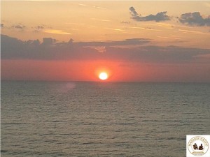 Rasarit1