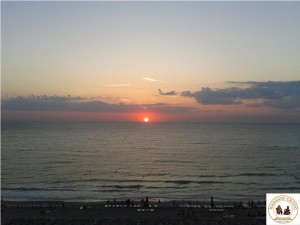 Rasarit1