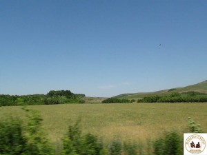 Câmpie - Vaslui