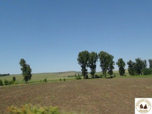 Câmpie / Vaslui