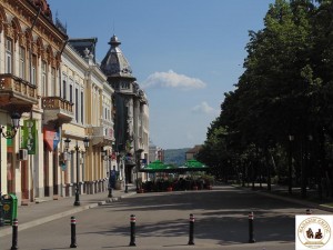 DRSV8
