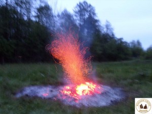 Foc5