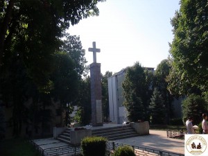Vaslui - Cruce