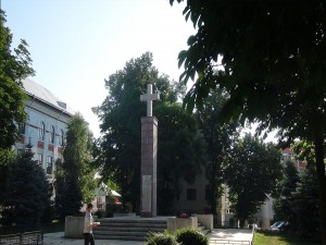 Vaslui - Cruce