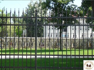 Vaslui