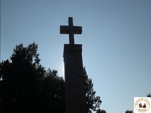 Vaslui