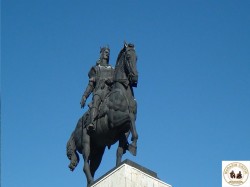 Vas5