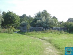 CT208