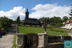 Olanesti11