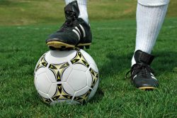 fotbal