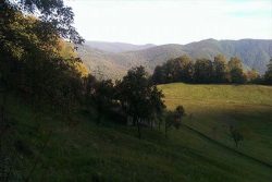 Locurele3