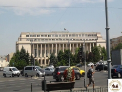 11908138_921963904516170_1986605433_n (2)