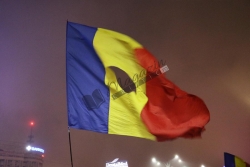 Tricolorul7