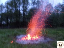 Foc1