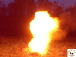 Foc2