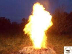 Foc4