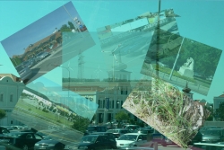 Publicitate5