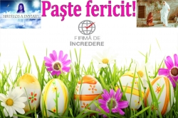 Federația Artă, Muzică și Sport
