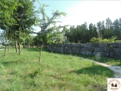 Pomi18