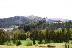 Brazi/Putna