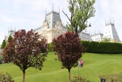 Iasi11