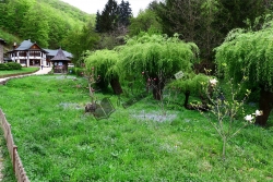 Prislop10