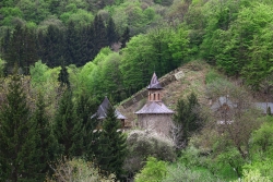 Prislop13