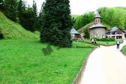 Prislop9
