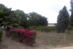 Spania-El Rompido2