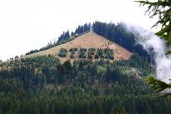 Stefan cel Mare