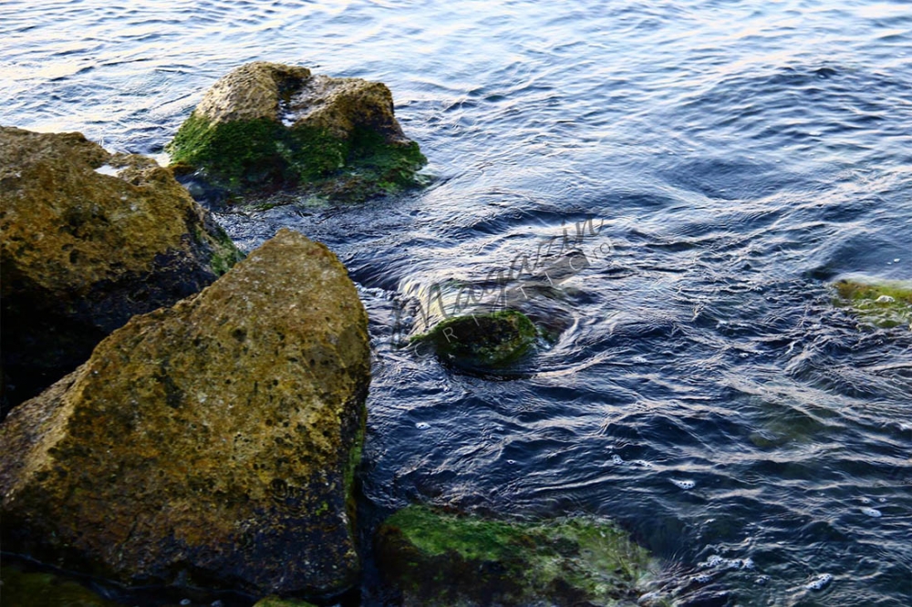 Mare5