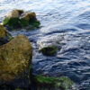 Mare5
