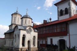 Arnota1