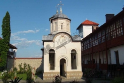 Arnota6