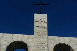 Buciumul31