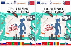 Erasmus1