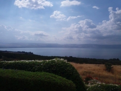 Mare - Spania