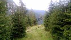Cascada Cailor1