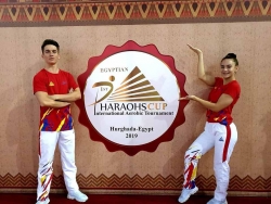 Gimnastica