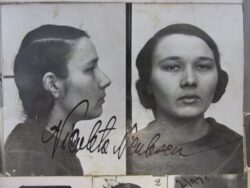 Nicoleta Nicolescu