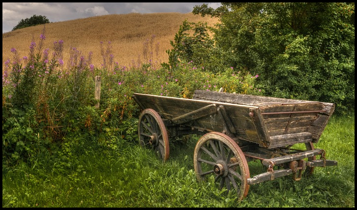 Ce i-a spus în 1941 un judecător ungur unui țăran român la Sfântu Gheorghe: "V-a intrat in cap că vor veni ai voștri!"