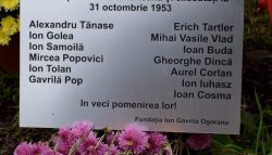 Dobrescu