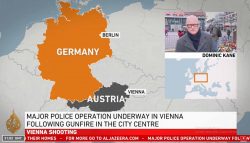 Viena