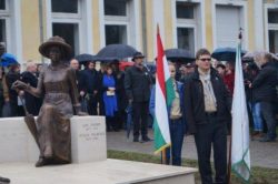 Nu vorbesc limba română la manifestările de pe domeniul public românesc dar vor în Guvernul României